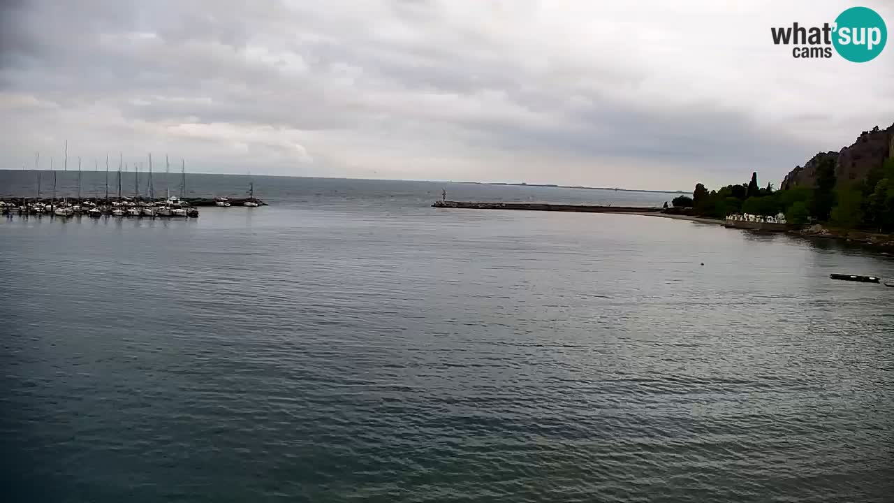 Webcam Sistiana – Vista sulla marina e sulla baia