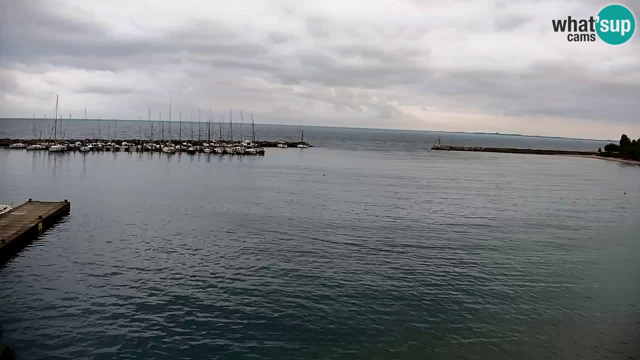 Webcam Sistiana – Vista sobre la marina y la bahía