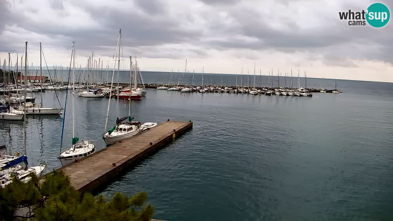 Webcam Sistiana – Vue sur la marina et la baie