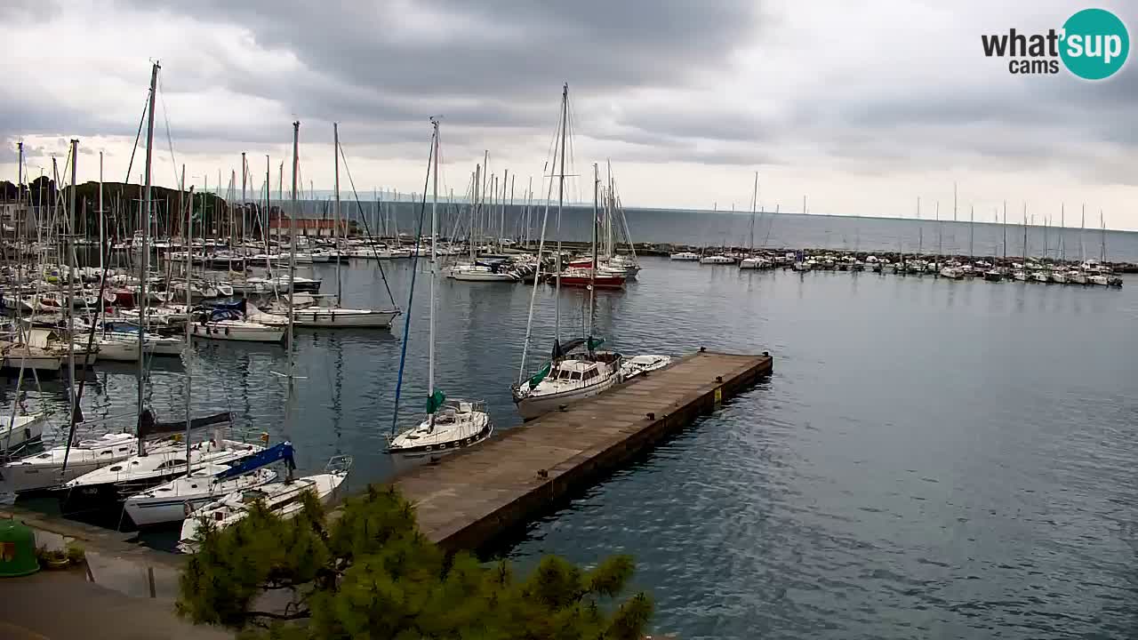 Webcam Sistiana – Marina and Bay Live View