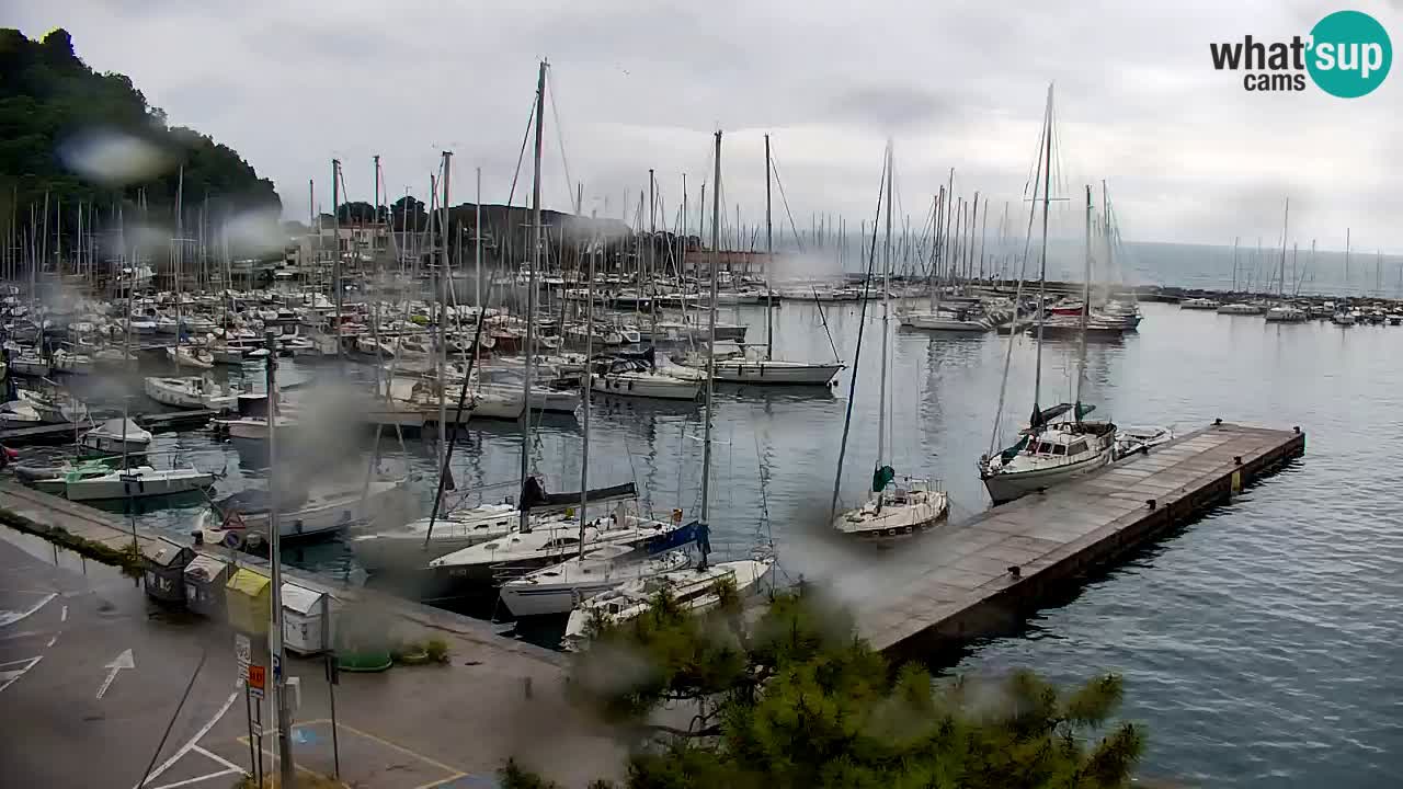 Webcam Sistiana – Marina and Bay Live View
