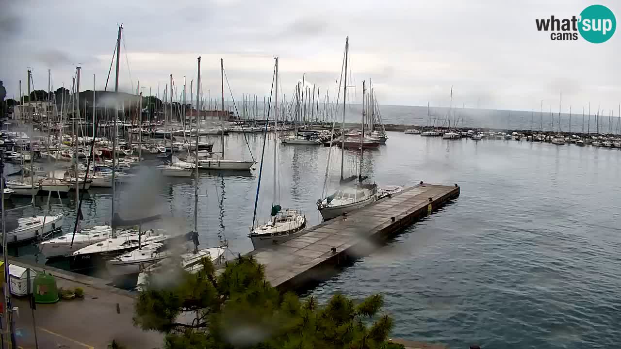 Webcam Sistiana – Marina and Bay Live View
