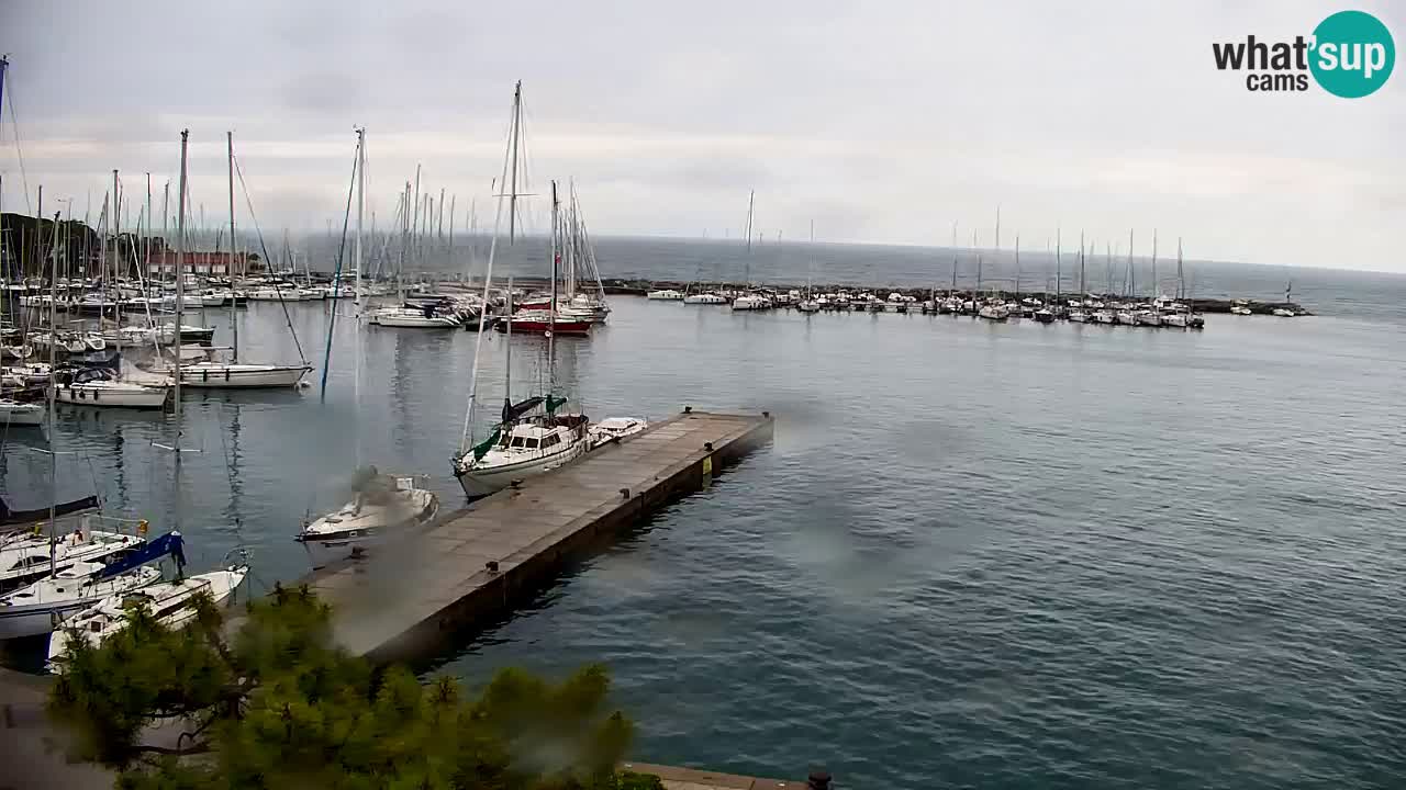 Webcam Sistiana – Vista sulla marina e sulla baia