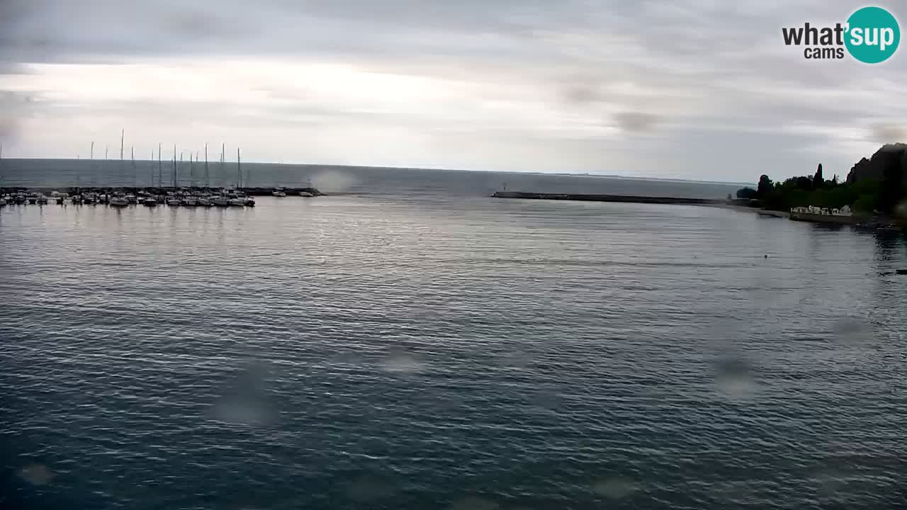 Webcam Sistiana – Vue sur la marina et la baie