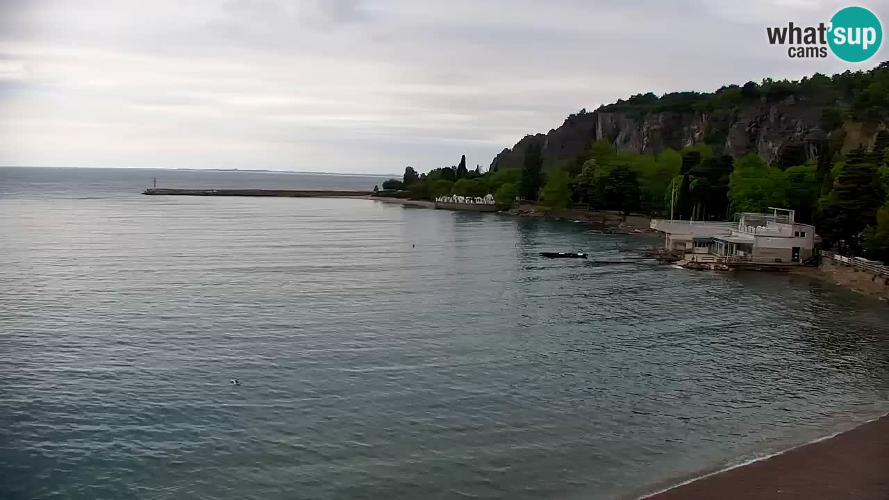 Webcam Sistiana – Marina and Bay Live View