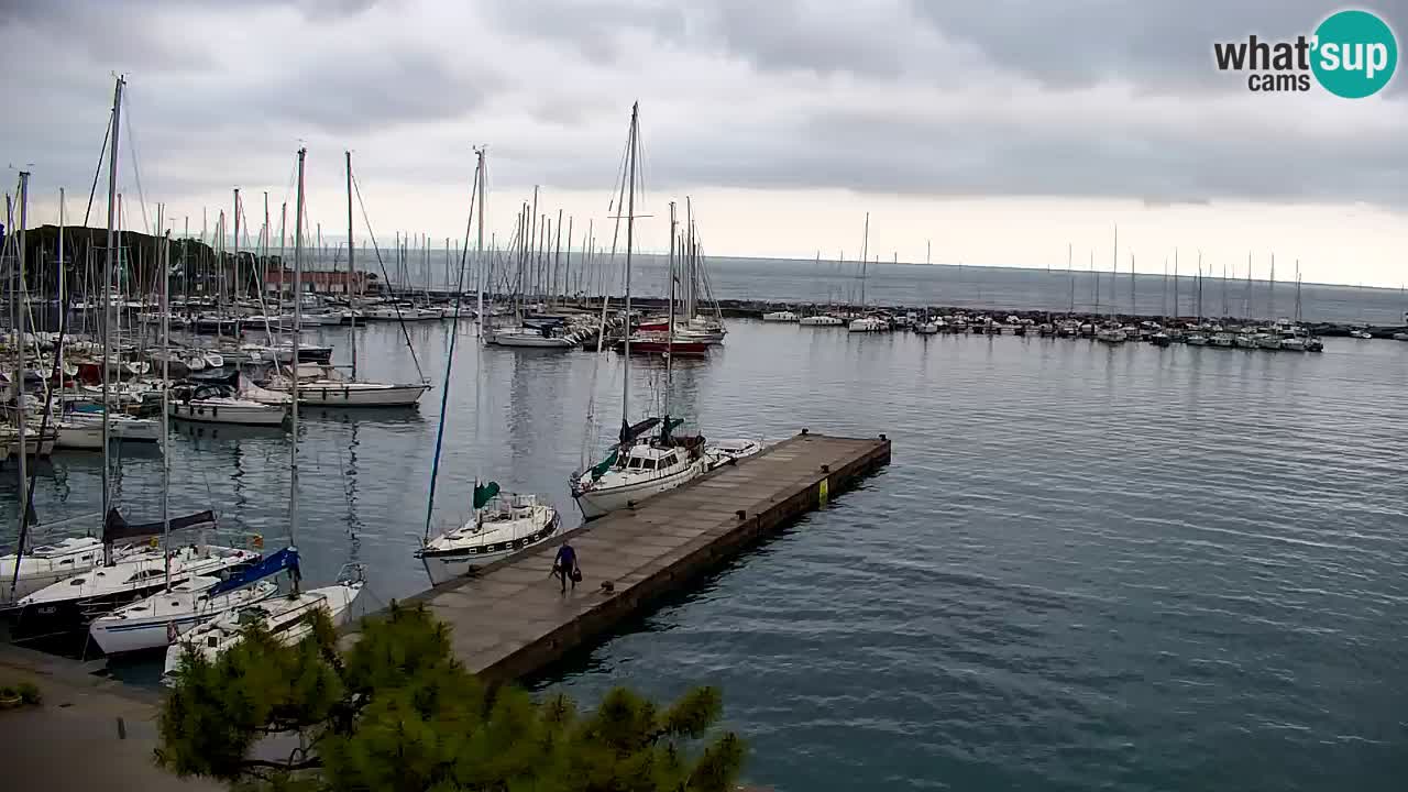 Webcam Sistiana – Vista sobre la marina y la bahía