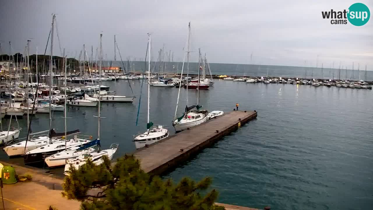 Webcam Sistiana – Marina and Bay Live View
