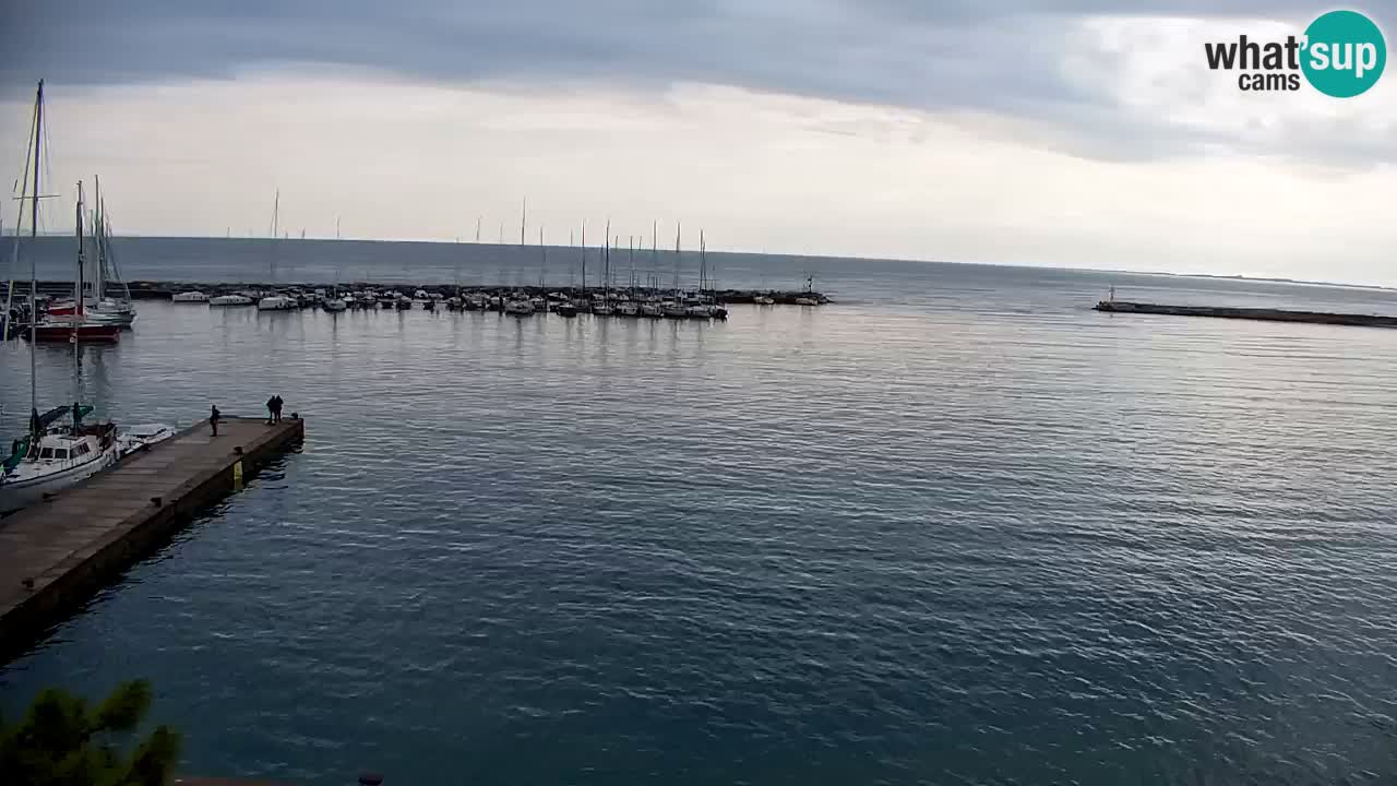 Webcam Sistiana – Marina and Bay Live View