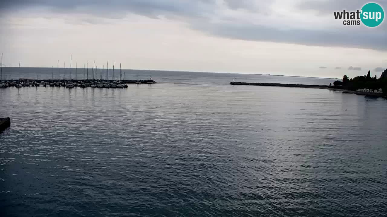 Webcam Sistiana – Marina and Bay Live View