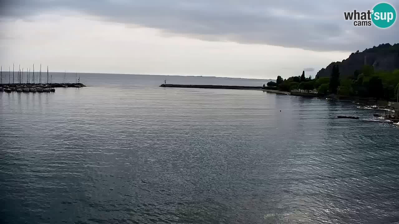 Webcam Sistiana – Vue sur la marina et la baie