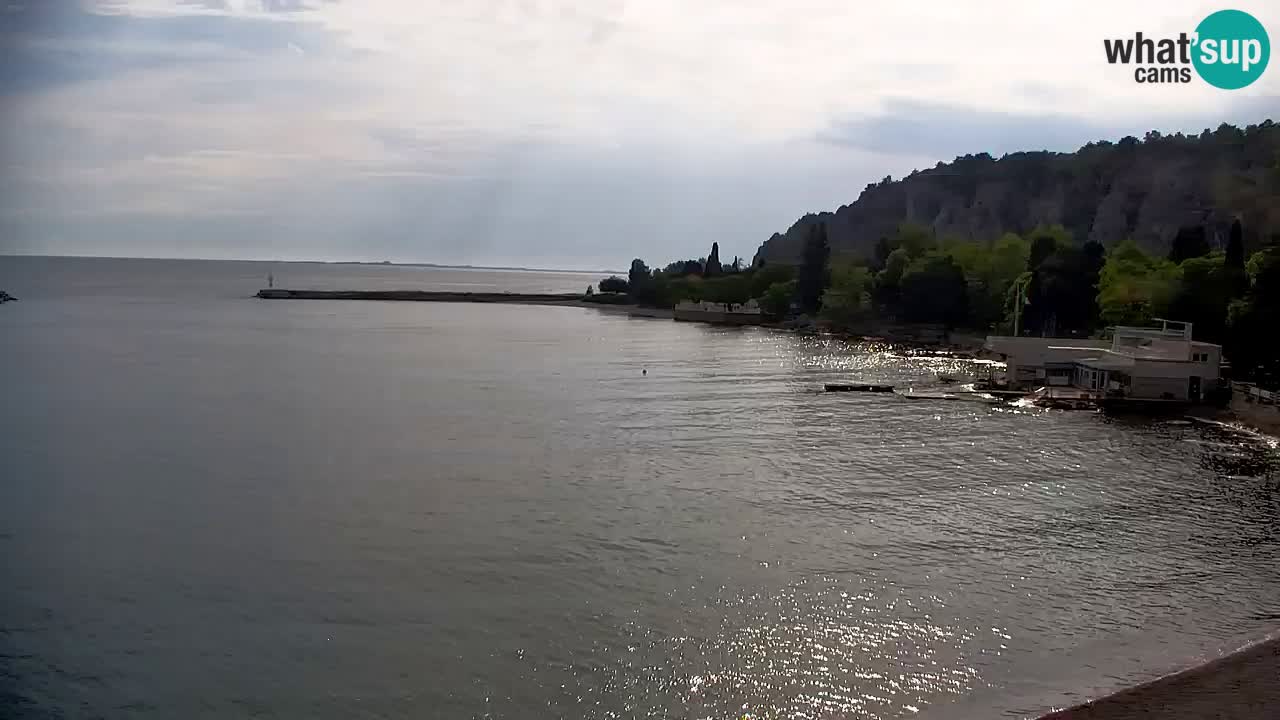 Webcam Sistiana – Vista sobre la marina y la bahía