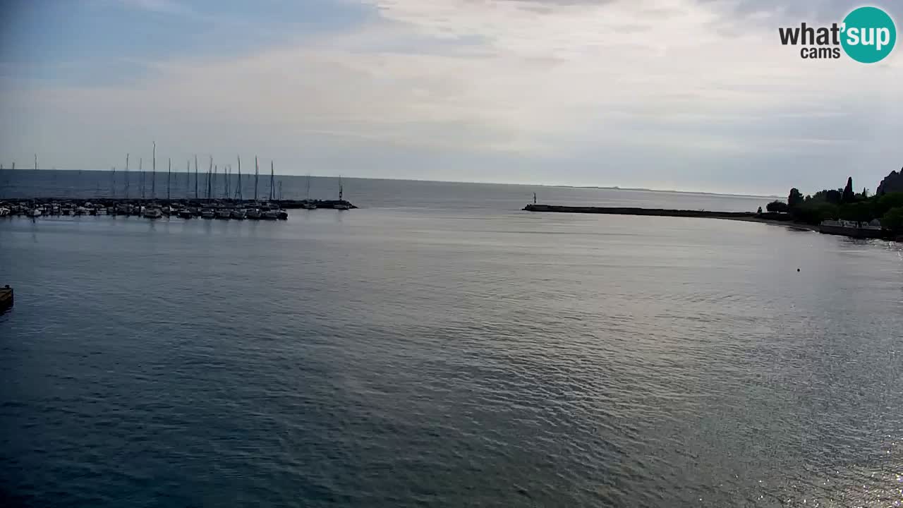 Spletna kamera Sesljan (Sistiana) – Pogled na marino in zaliv