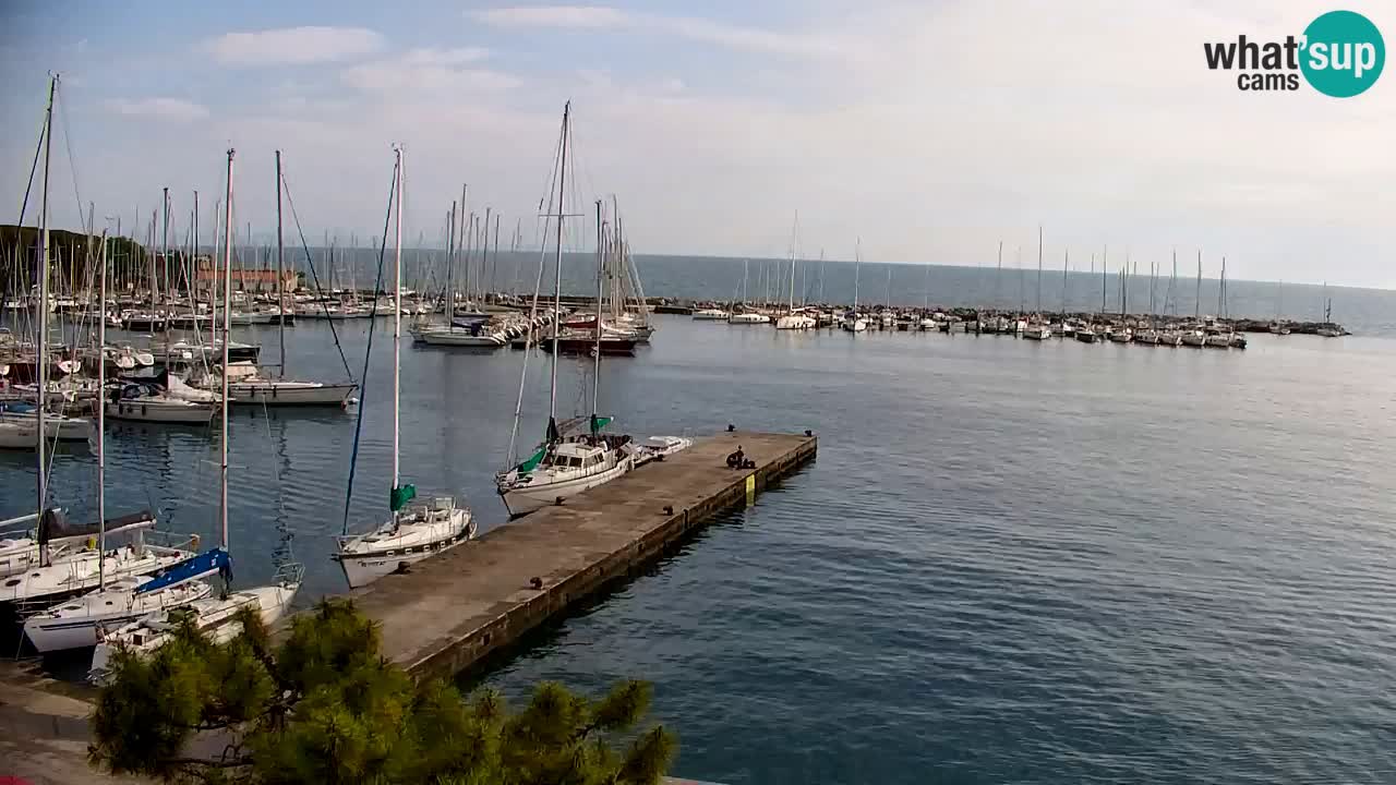 Webcam Sistiana – Vista sobre la marina y la bahía