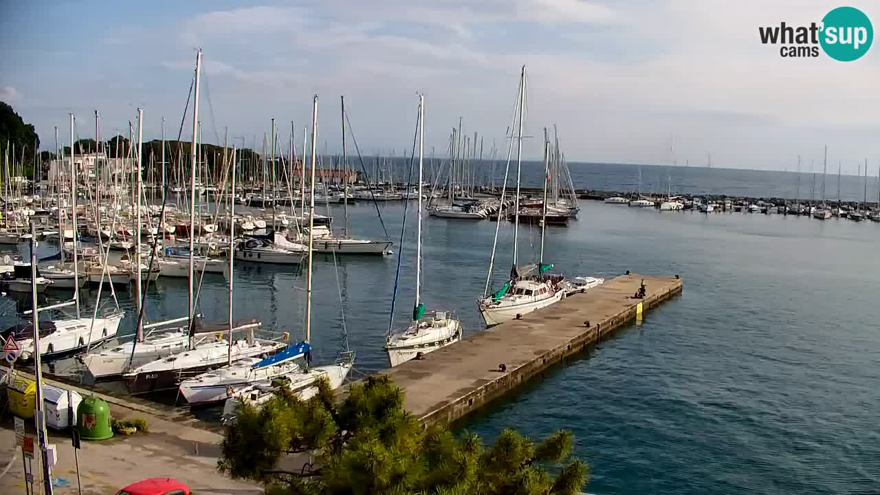Webcam Sistiana – Marina and Bay Live View