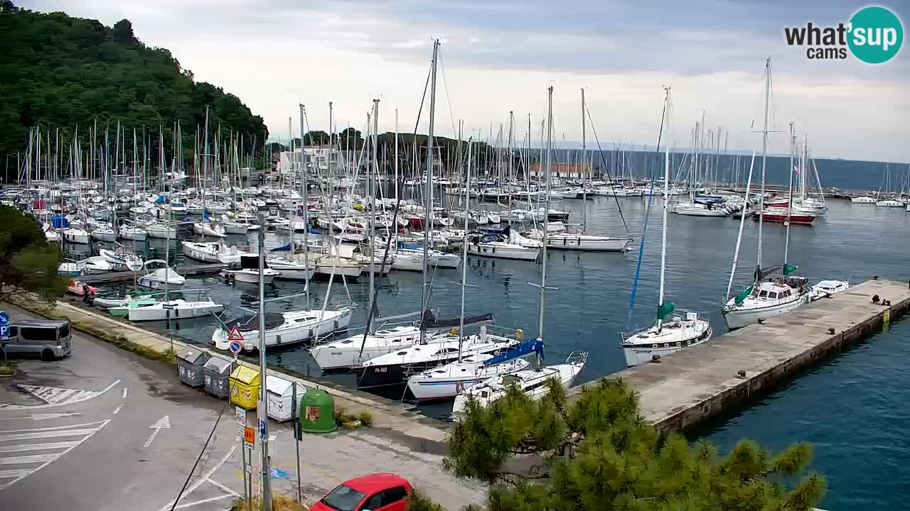 Webcam Sistiana – Marina and Bay Live View