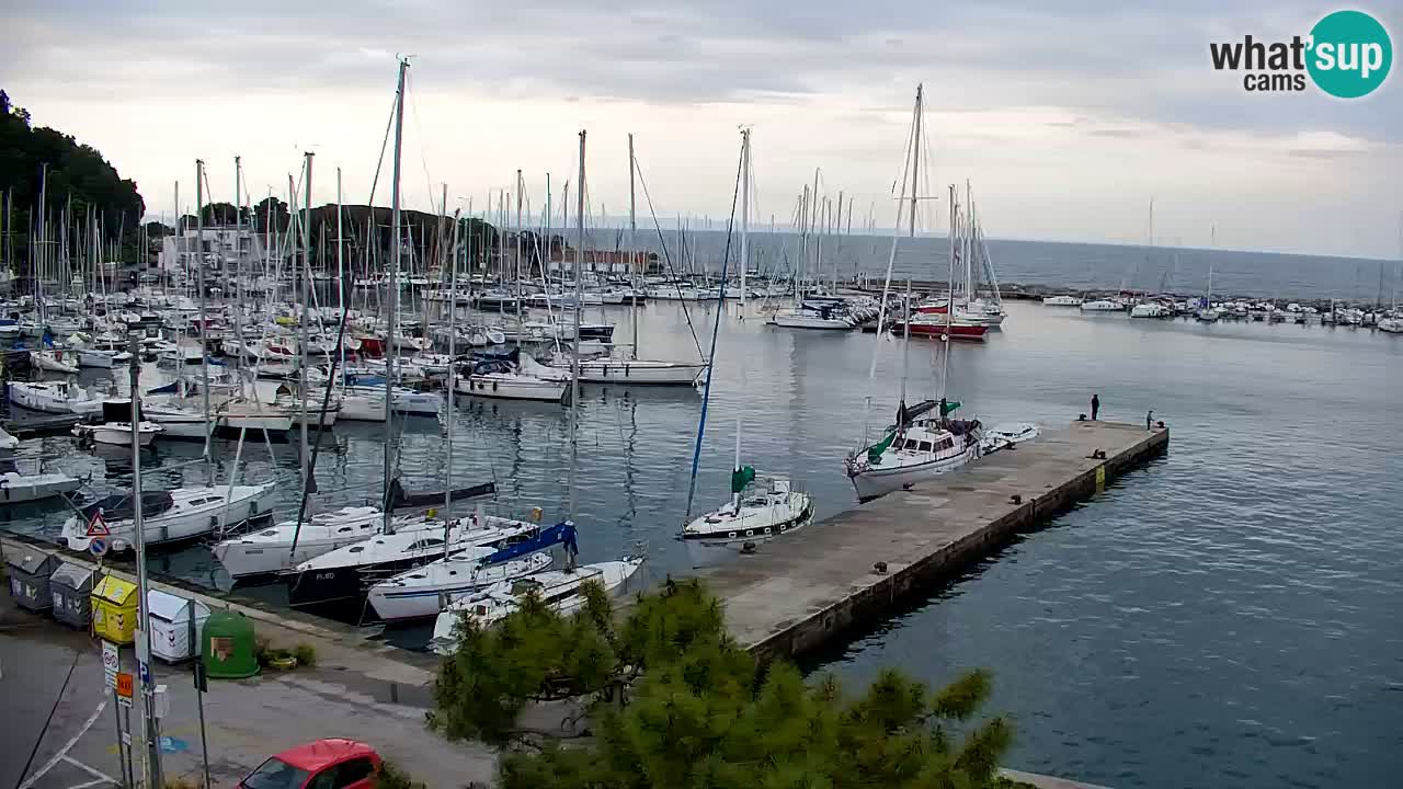 Webcam Sistiana – Pogled na marinu i zaljev