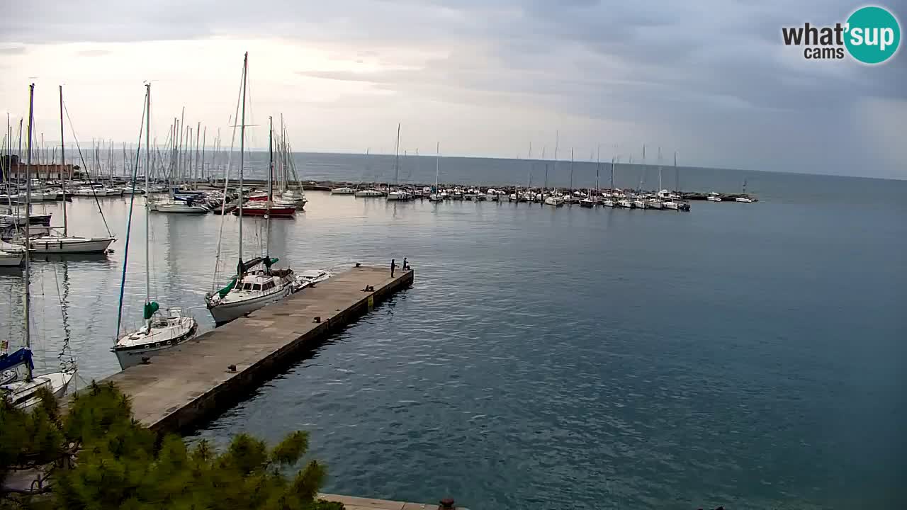 Webcam Sistiana – Pogled na marinu i zaljev