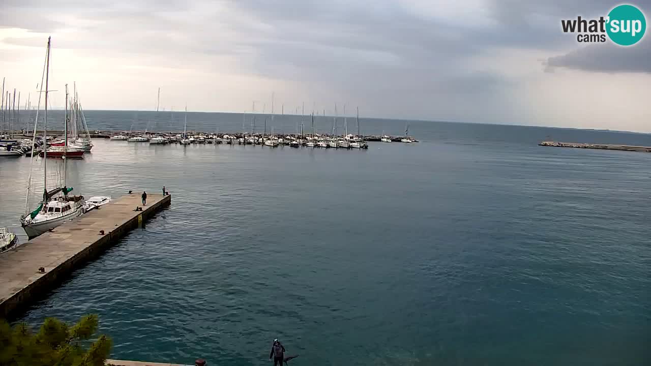 Webcam Sistiana – Marina and Bay Live View