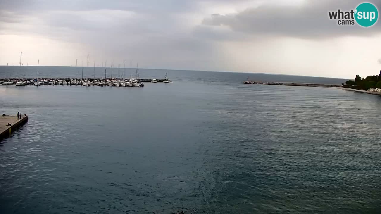 Webcam Sistiana – Marina and Bay Live View