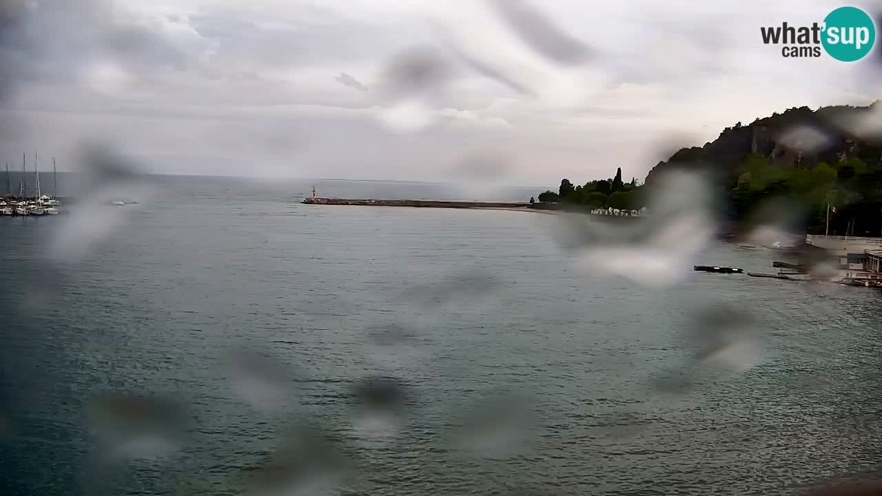 Spletna kamera Sesljan (Sistiana) – Pogled na marino in zaliv