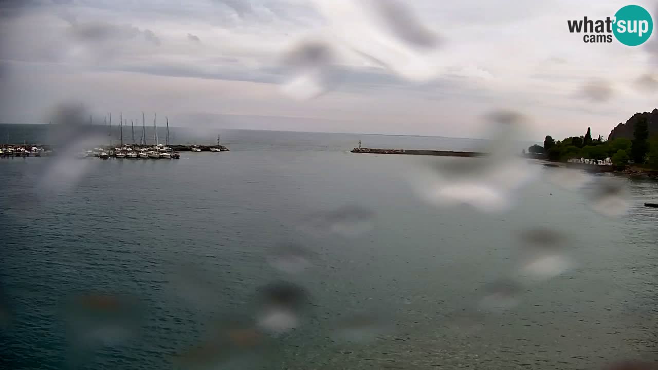 Spletna kamera Sesljan (Sistiana) – Pogled na marino in zaliv