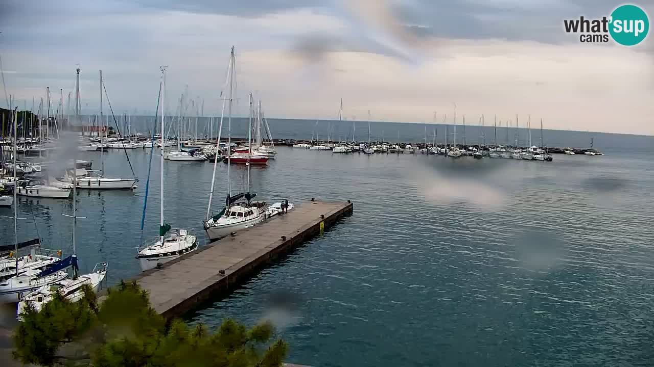 Webcam Sistiana – Vista sobre la marina y la bahía