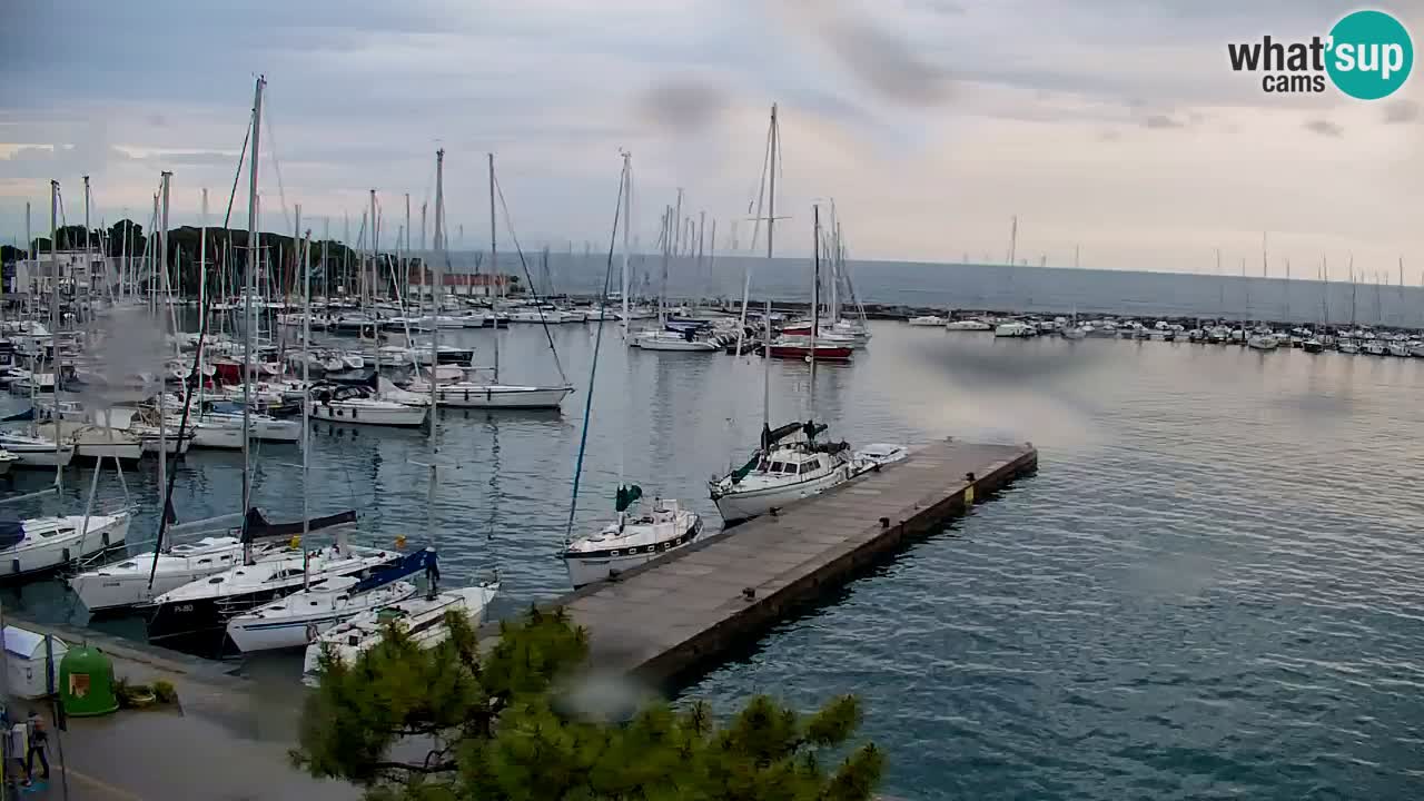 Spletna kamera Sesljan (Sistiana) – Pogled na marino in zaliv