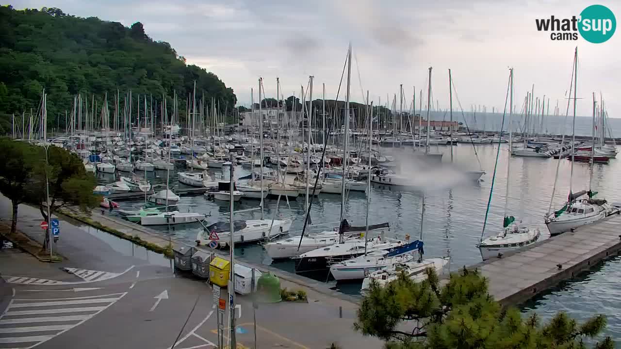Spletna kamera Sesljan (Sistiana) – Pogled na marino in zaliv