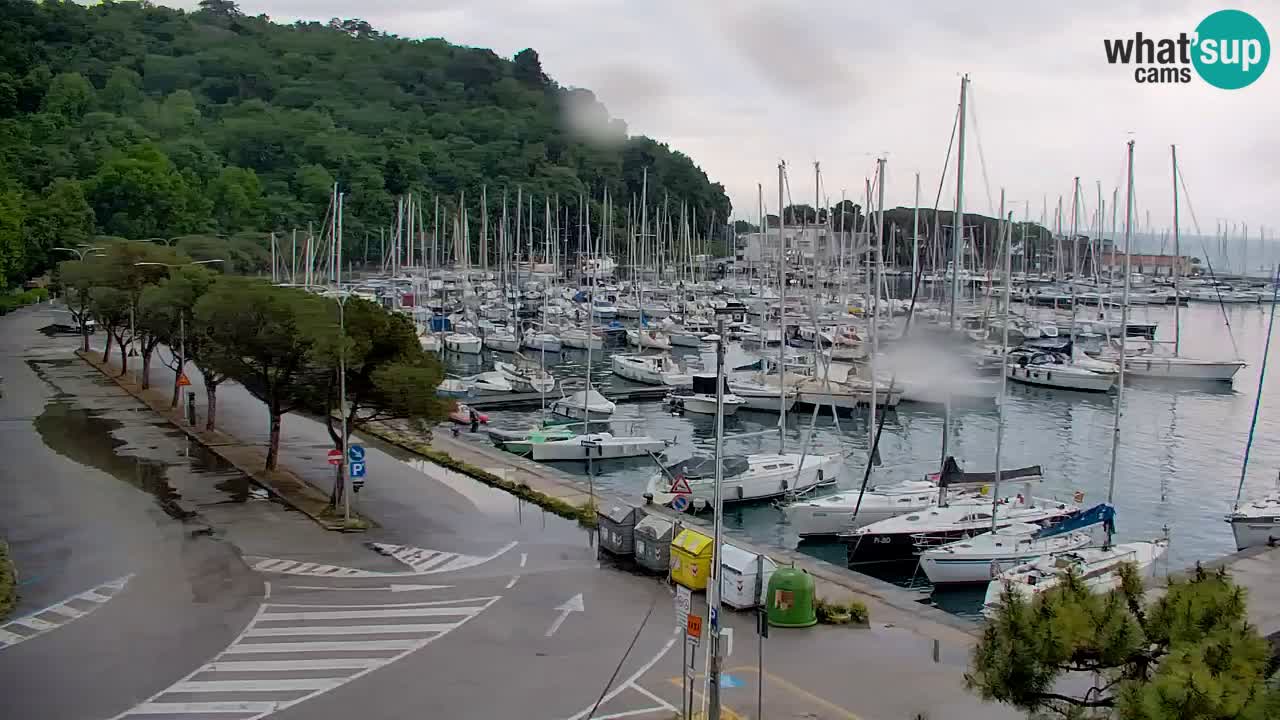 Webcam Sistiana – Vista sulla marina e sulla baia