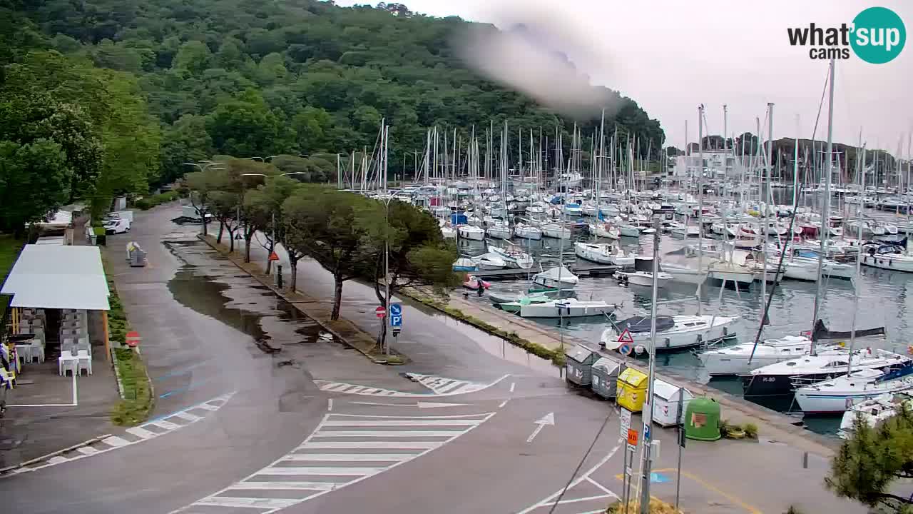 Webcam Sistiana – Marina and Bay Live View