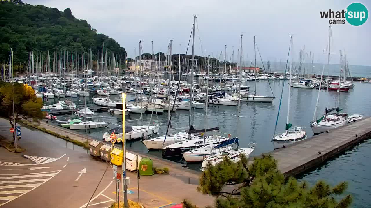 Webcam Sistiana – Marina and Bay Live View