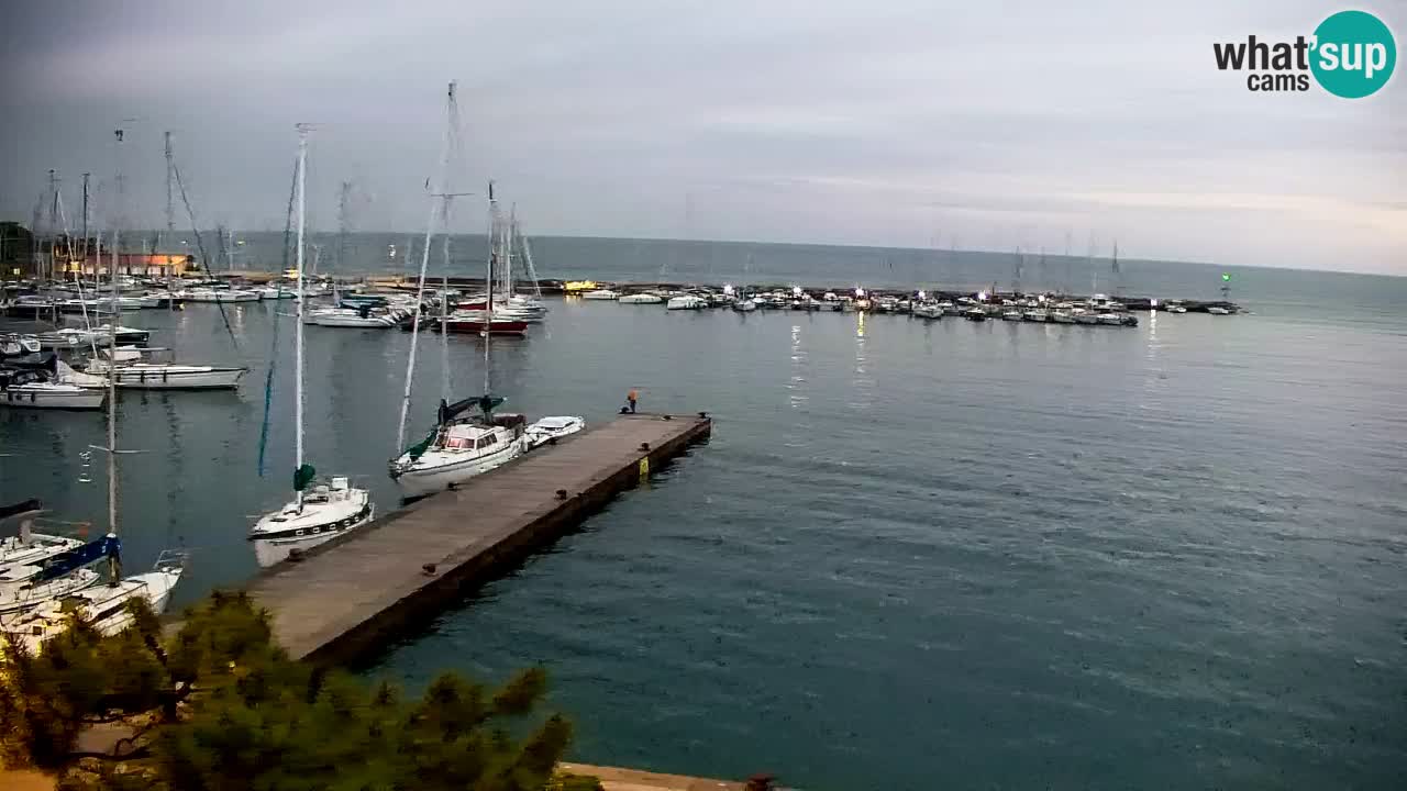 Spletna kamera Sesljan (Sistiana) – Pogled na marino in zaliv