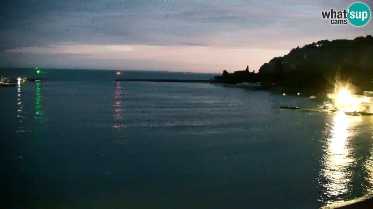 Webcam Sistiana – Marina and Bay Live View