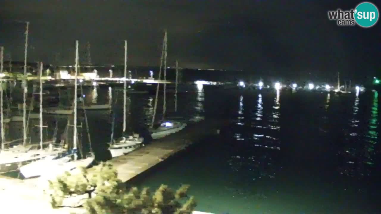 Webcam Sistiana – Marina and Bay Live View