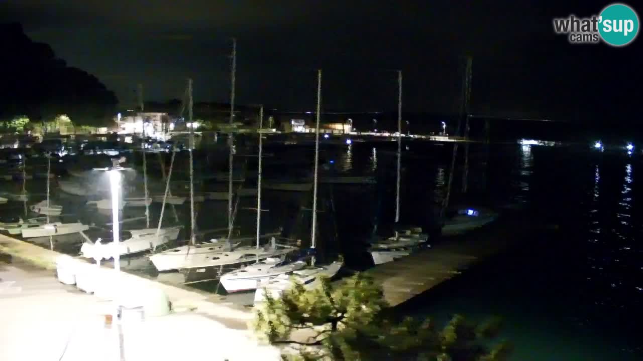 Webcam Sistiana – Marina and Bay Live View
