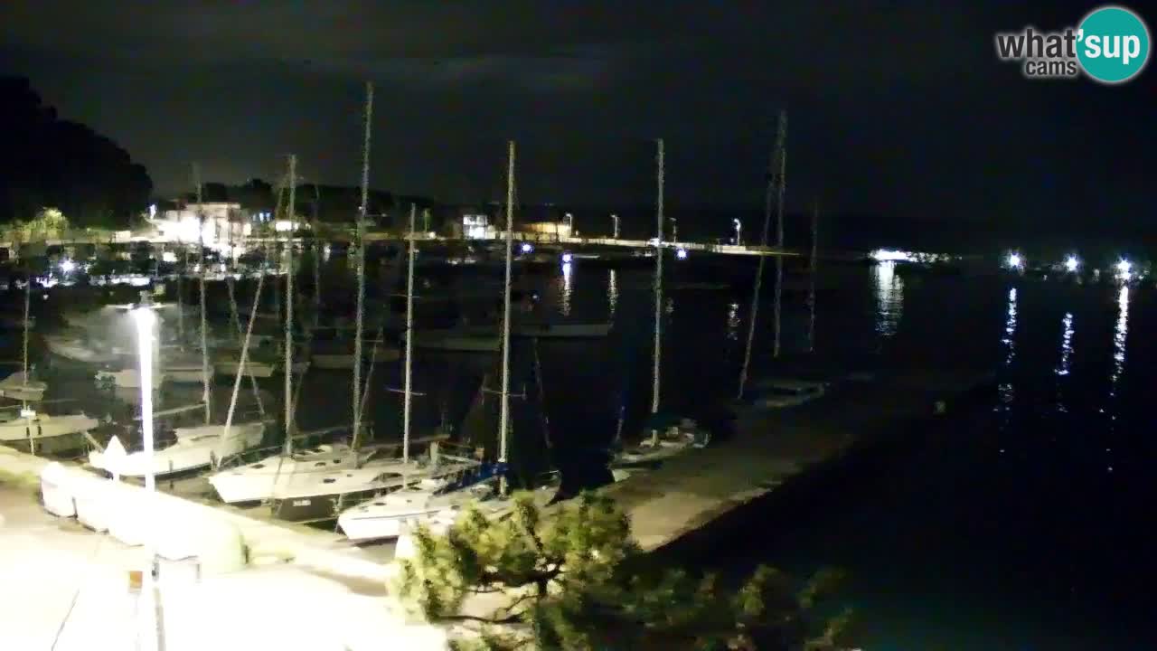 Webcam Sistiana – Marina and Bay Live View