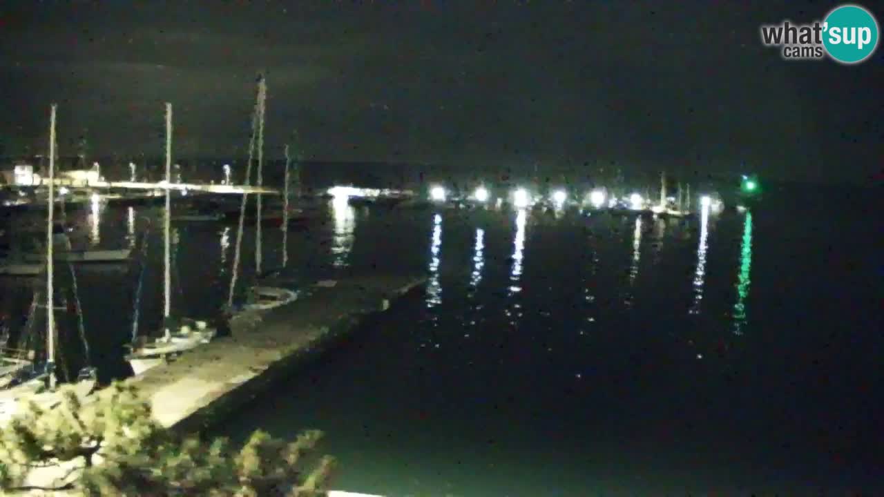 Webcam Sistiana – Pogled na marinu i zaljev
