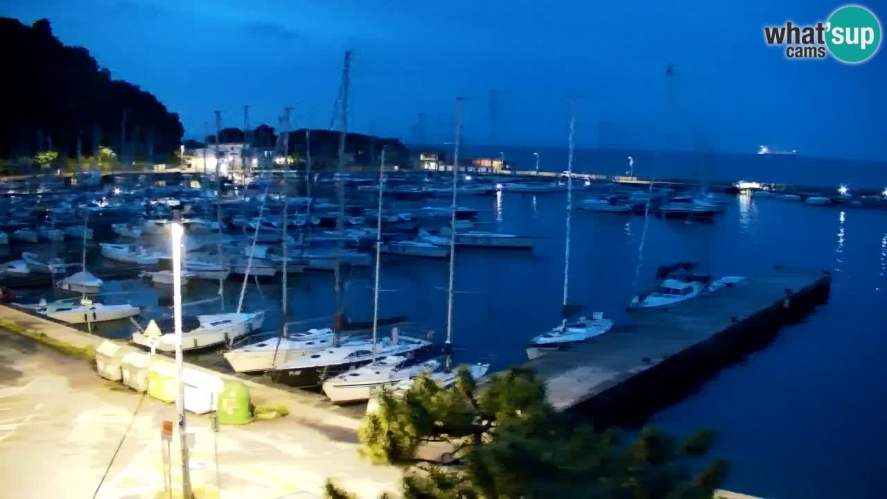 Webcam Sistiana – Marina and Bay Live View