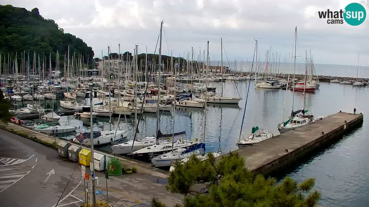 Webcam Sistiana – Marina and Bay Live View