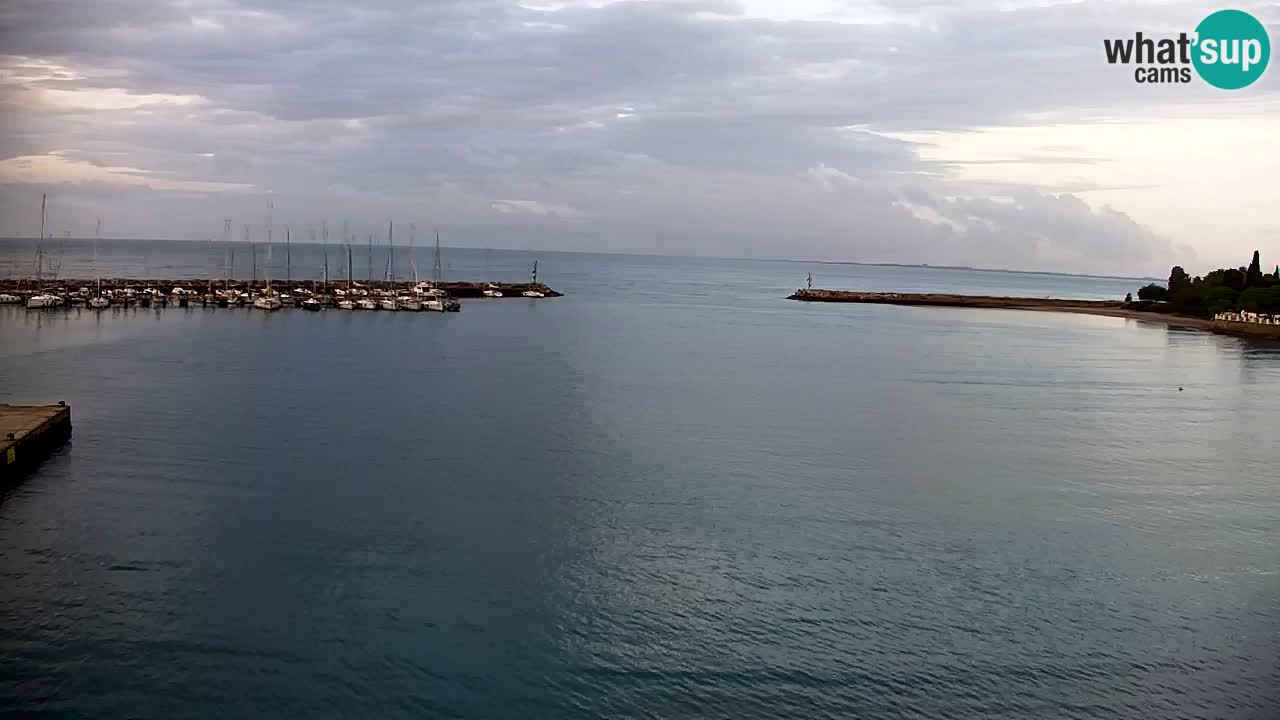 Webcam Sistiana – Marina and Bay Live View