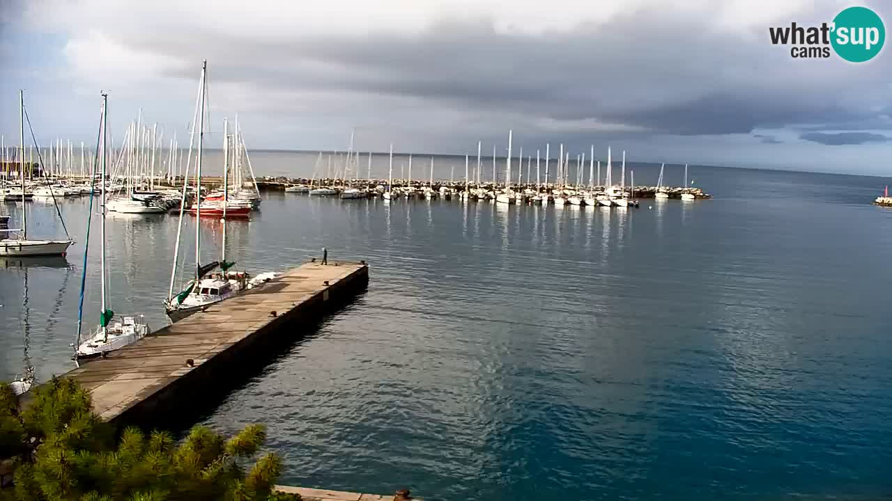 Webcam Sistiana – Marina and Bay Live View