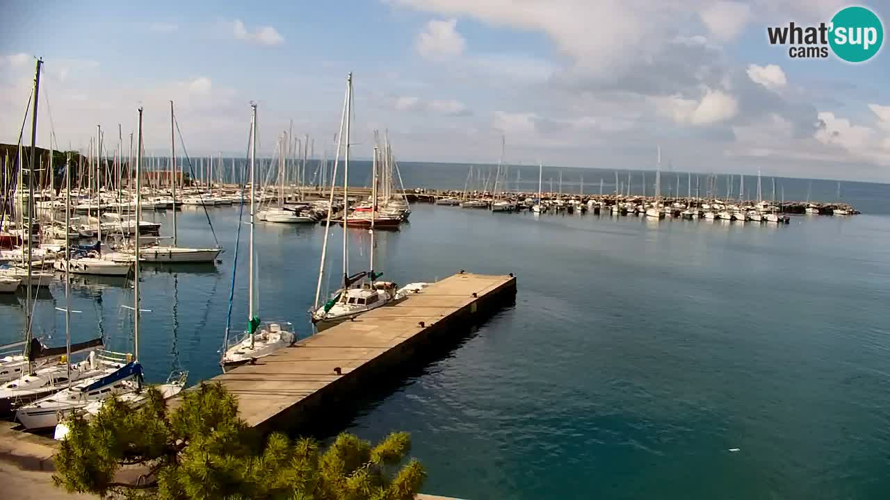 Webcam Sistiana – Pogled na marinu i zaljev
