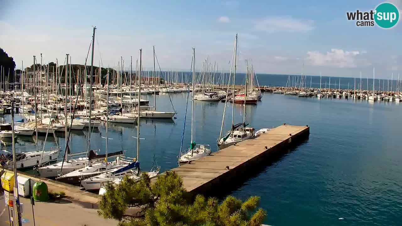 Webcam Sistiana – Vista sobre la marina y la bahía