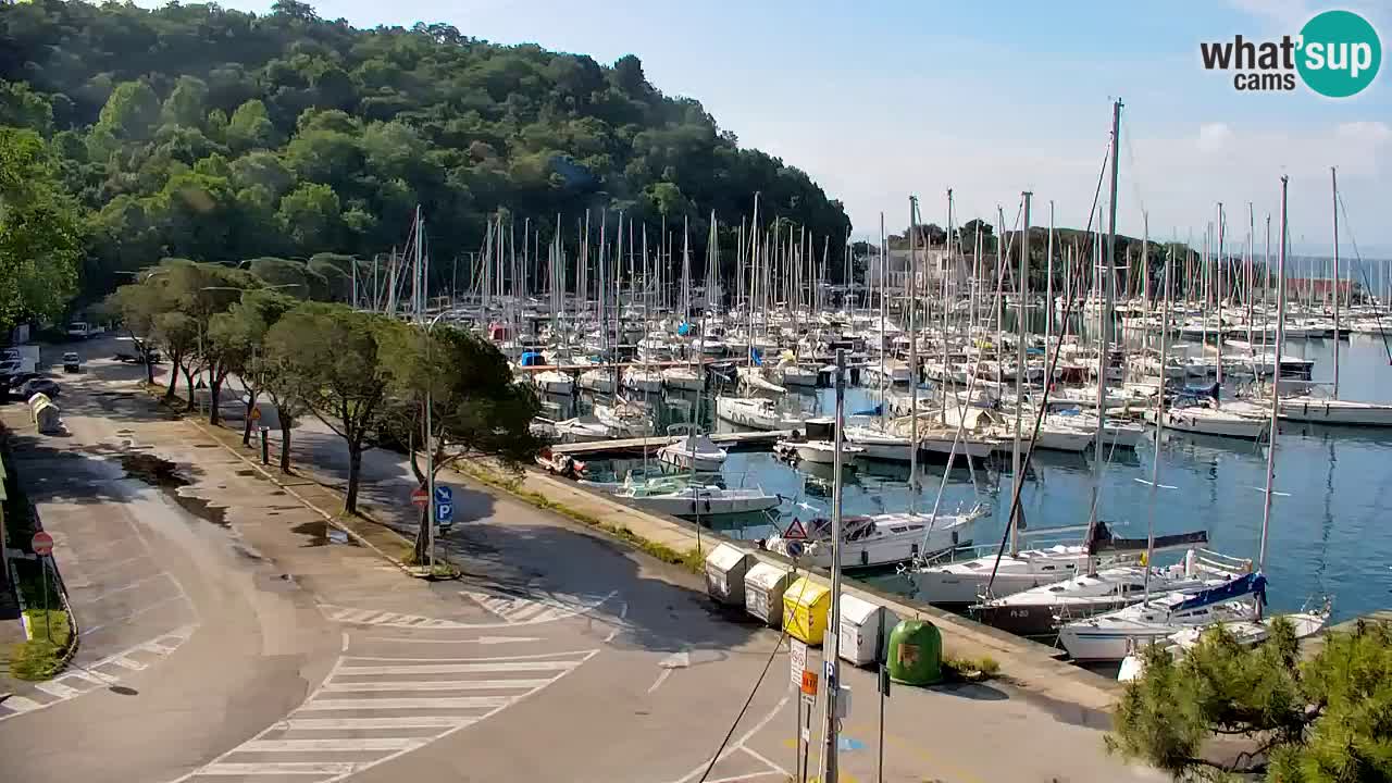 Webcam Sistiana – Marina and Bay Live View