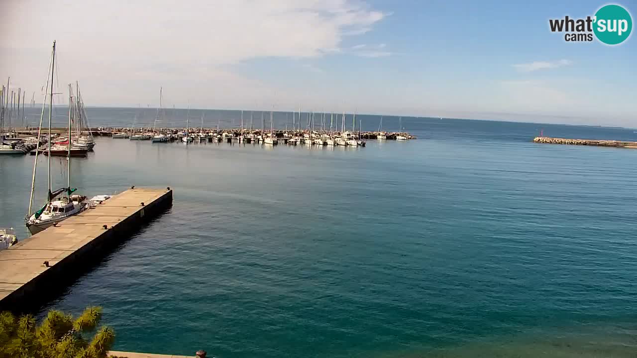 Webcam Sistiana – Pogled na marinu i zaljev