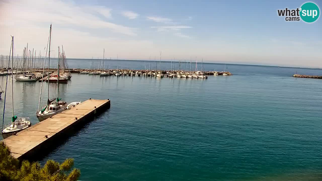 Webcam Sistiana – Pogled na marinu i zaljev