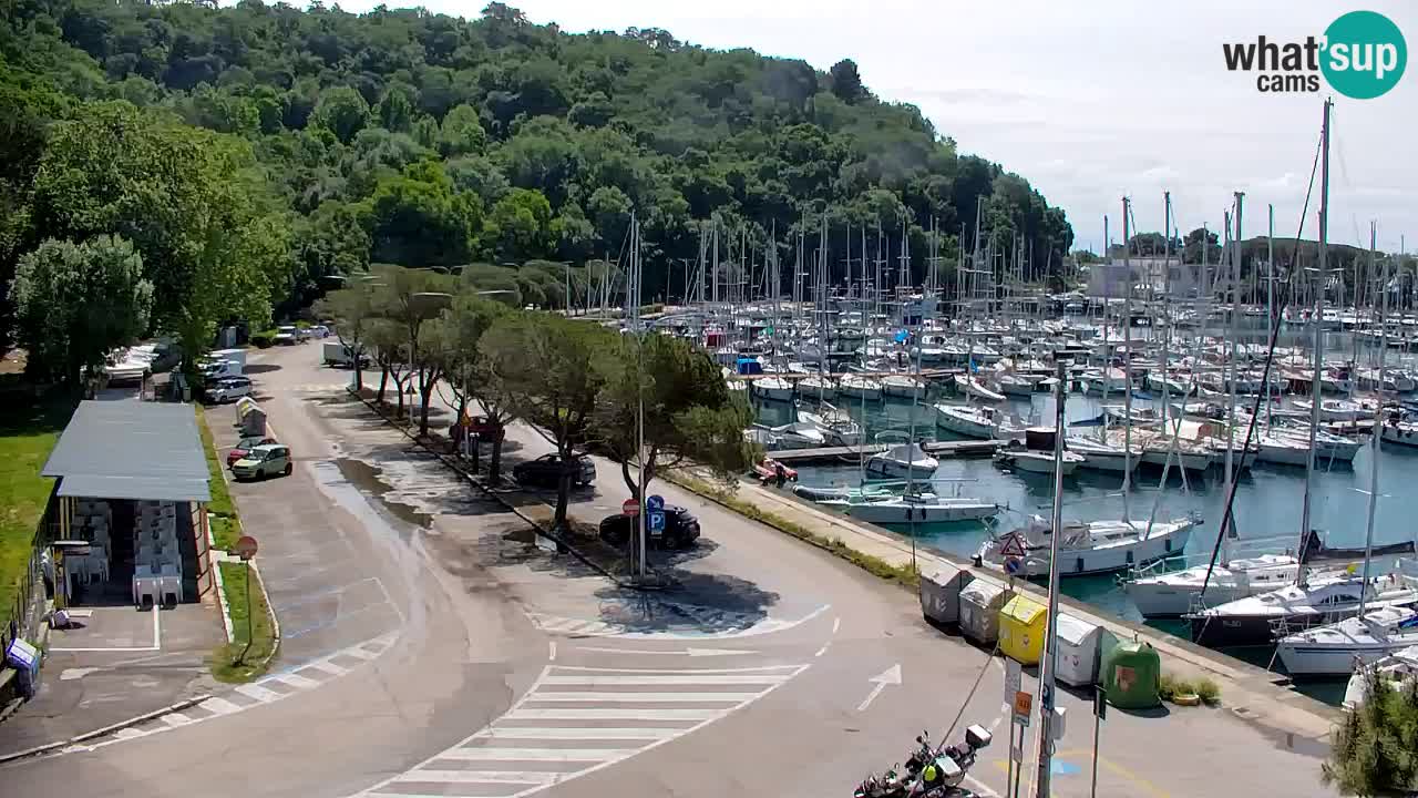Webcam Sistiana – Vista sobre la marina y la bahía