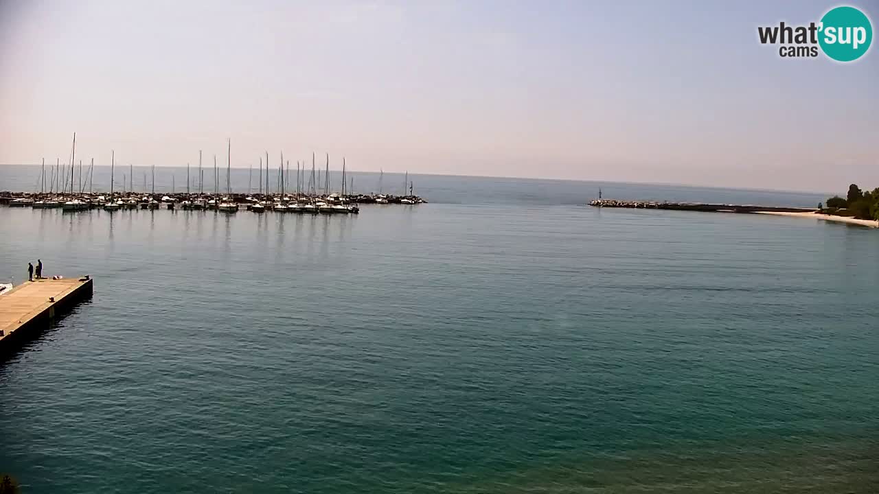 Spletna kamera Sesljan (Sistiana) – Pogled na marino in zaliv