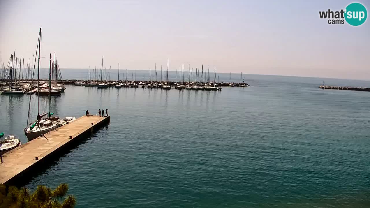 Spletna kamera Sesljan (Sistiana) – Pogled na marino in zaliv