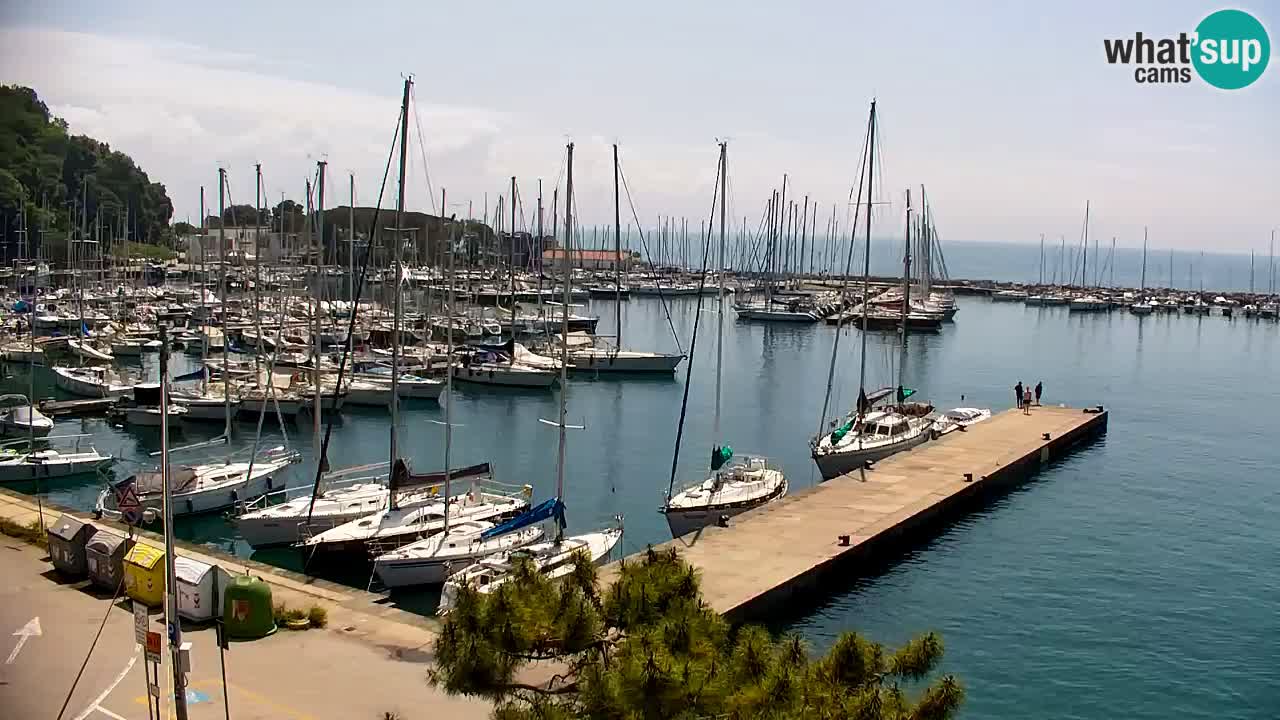 Spletna kamera Sesljan (Sistiana) – Pogled na marino in zaliv